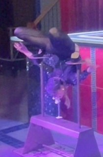 2026 Schlangenfrau Magdalena Stoilova Kontorsion Moselpalast Traben-Trarbach, Mosel